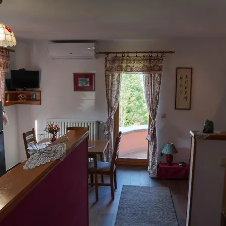 Apartma Pr' Gamilcu 톨민
